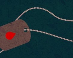 Почему у людей разные группы крови и на что это влияет