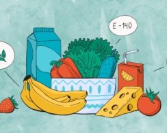 10 стыдных вопросов о составе продуктов: отвечает пищевой технолог Ольга Косникова